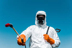 Emergency Pest Control in Soquel, CA